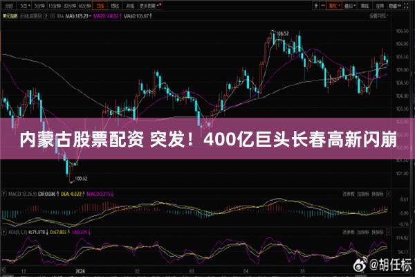 内蒙古股票配资 突发！400亿巨头长春高新闪崩