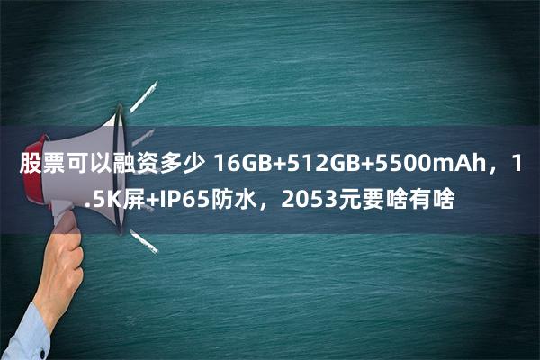 股票可以融资多少 16GB+512GB+5500mAh，1.5K屏+IP65防水，2053元要啥有啥