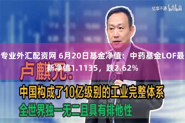 专业外汇配资网 6月20日基金净值：中药基金LOF最新净值1.1135，跌2.62%