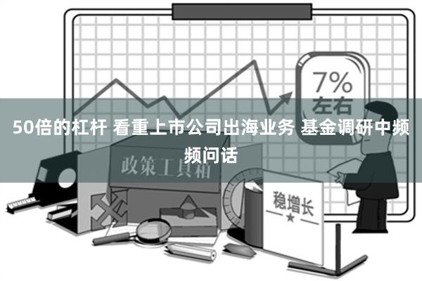 50倍的杠杆 看重上市公司出海业务 基金调研中频频问话