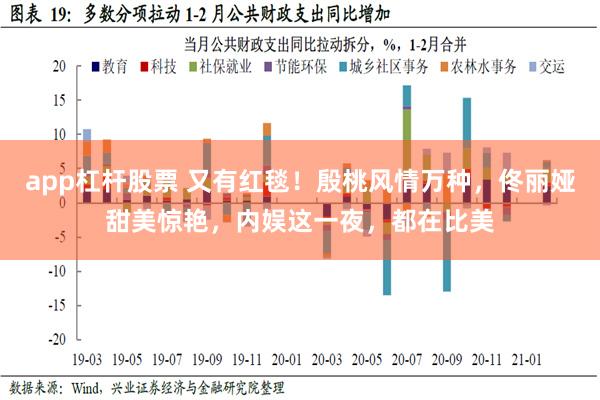 app杠杆股票 又有红毯！殷桃风情万种，佟丽娅甜美惊艳，内娱这一夜，都在比美