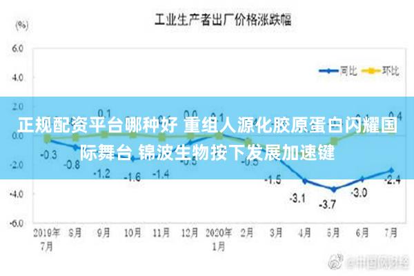 正规配资平台哪种好 重组人源化胶原蛋白闪耀国际舞台 锦波生物按下发展加速键