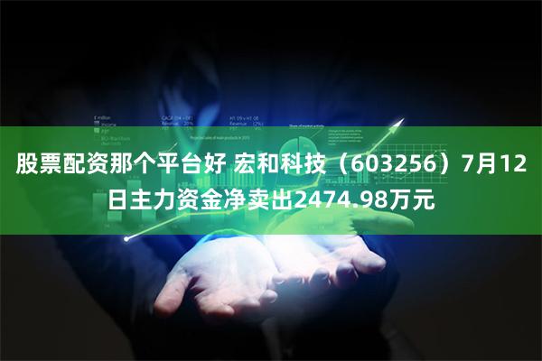 股票配资那个平台好 宏和科技（603256）7月12日主力资金净卖出2474.98万元