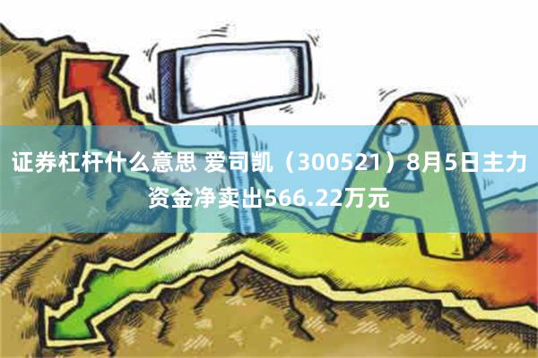 证券杠杆什么意思 爱司凯（300521）8月5日主力资金净卖出566.22万元