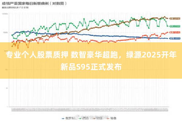 专业个人股票质押 数智豪华超跑，绿源2025开年新品S95正式发布