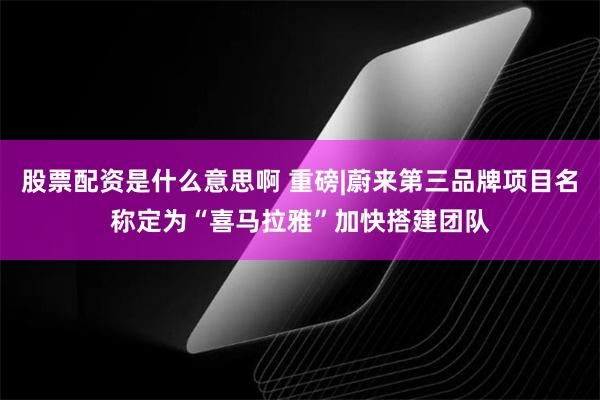 股票配资是什么意思啊 重磅|蔚来第三品牌项目名称定为“喜马拉雅”加快搭建团队